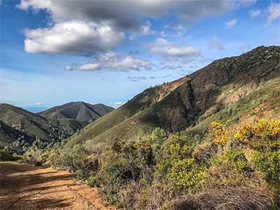 Mitchell Canyon