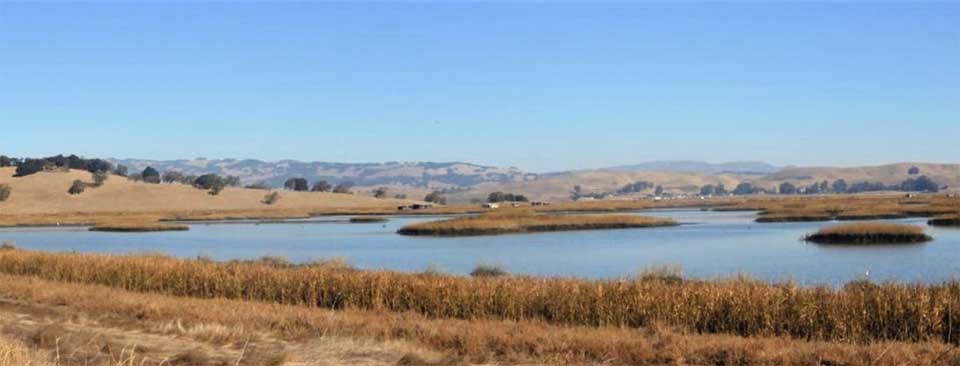 Petaluma Marsh. Photo by Bob Hinz.