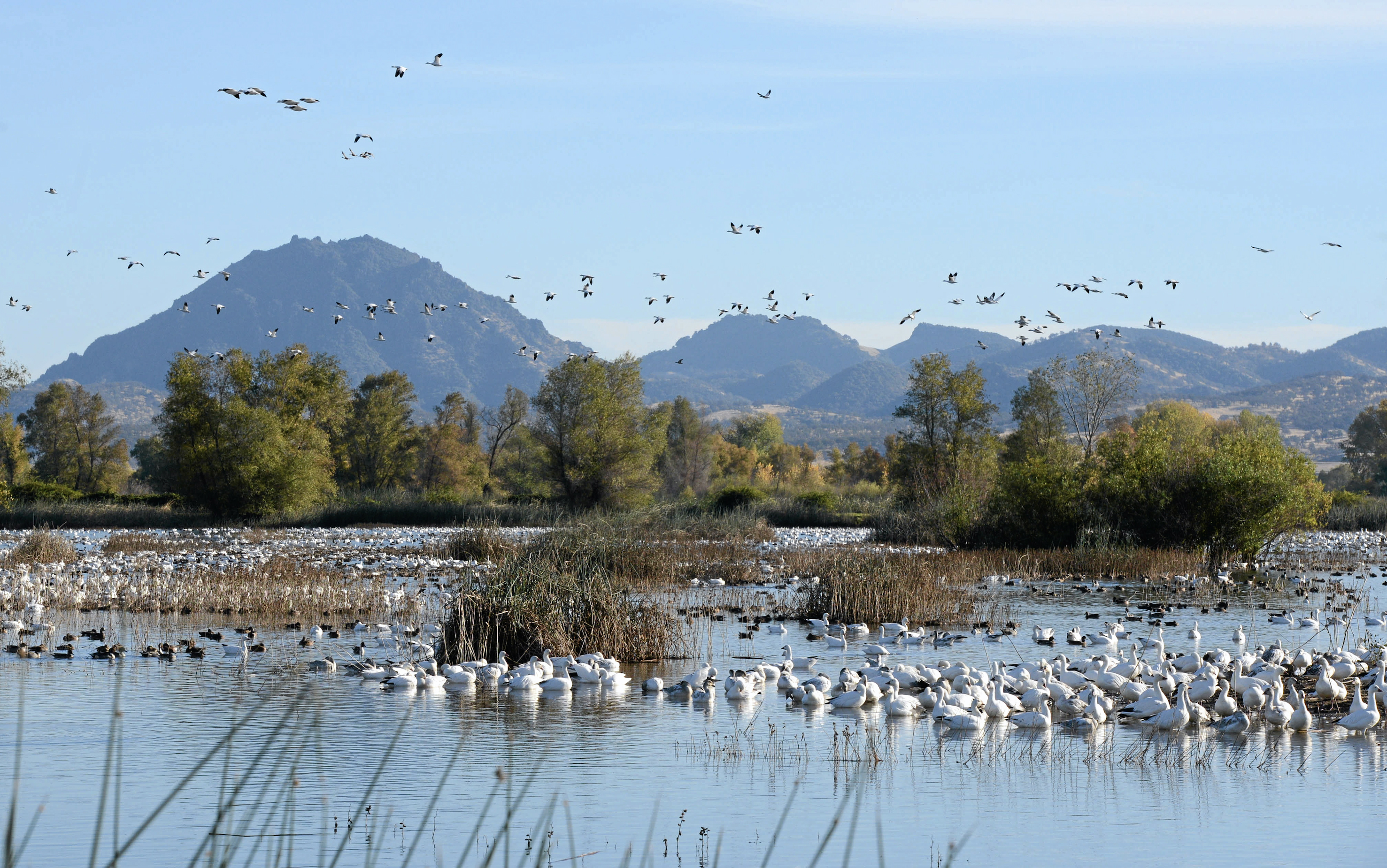 Gray lodge wildlife area