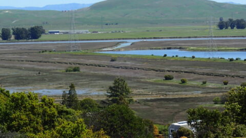Marin Audubon Society Properties Marin Audubon Society Marin Audubon Society Properties Marin Audubon Society