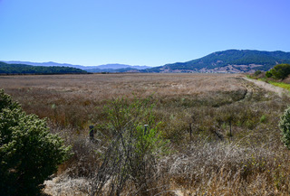 Acquisition of Greater Bahia Baylands Expansion
