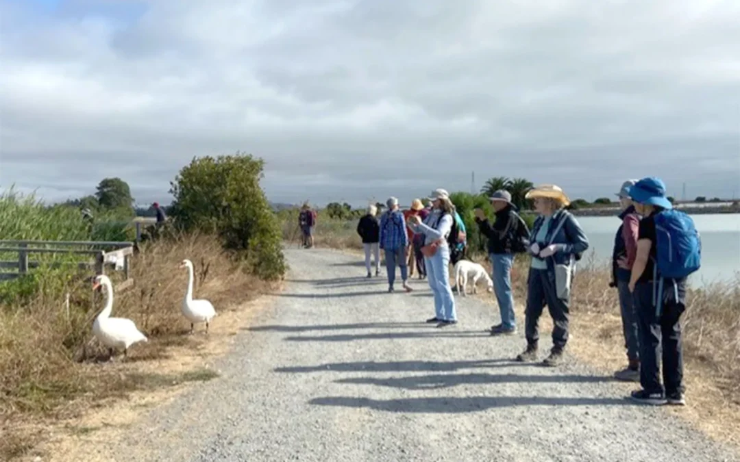 One bird at a time: Marin Audubon’s monthly nature walks mix birding, banter, education