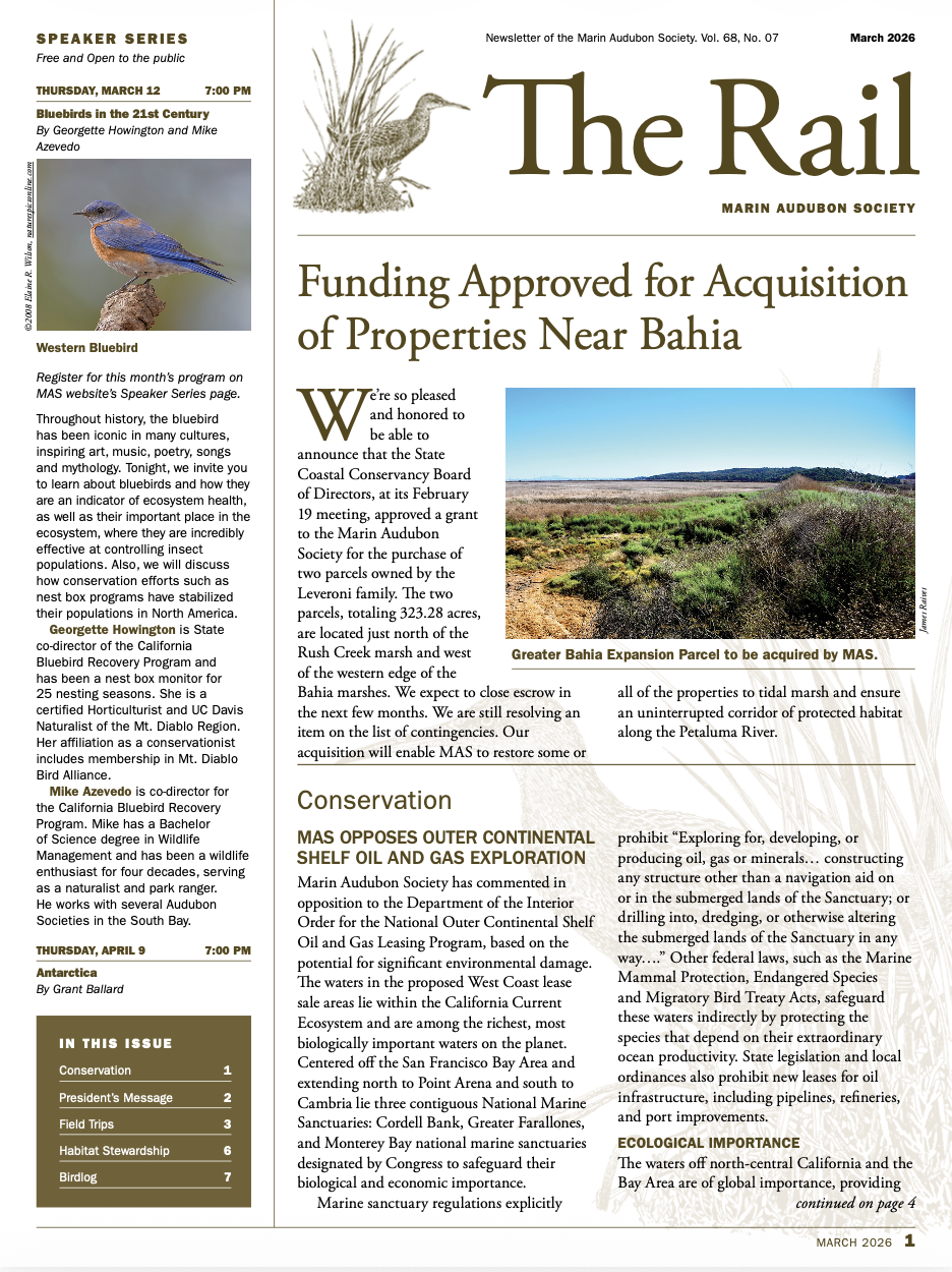 The Rail cover Mar26