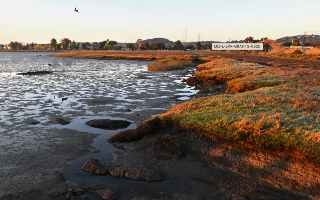 San Rafael marsh restoration project gets nearly $7M in grants