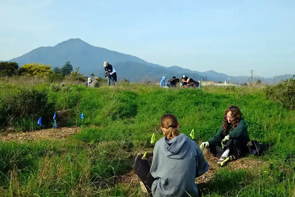 Corte Madera Marsh Ecological Reserve (CMMERE) Volunteer Work Day