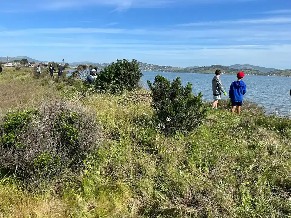 Triangle Marsh Volunteer Work Day